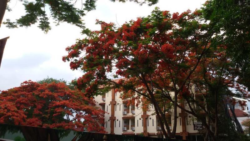 Your House 3 Guest House Chiang Mai Esterno foto