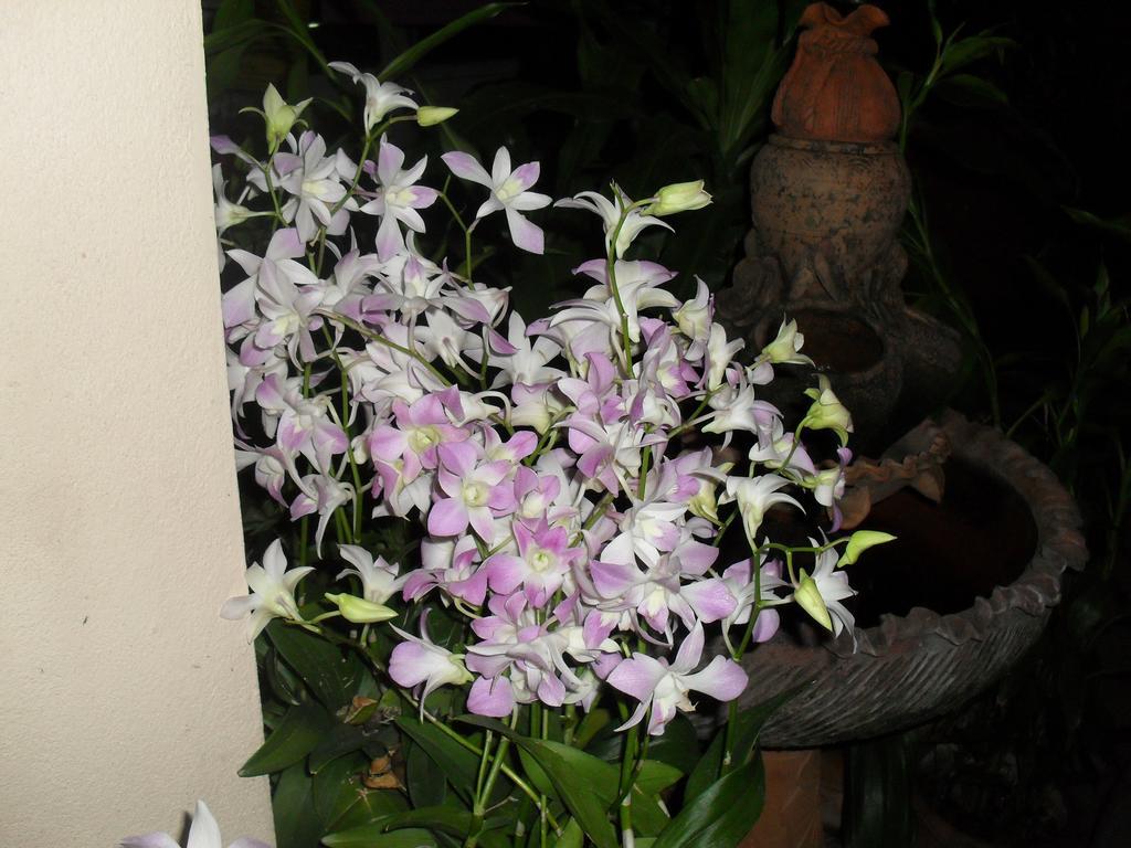 Your House 3 Guest House Chiang Mai Esterno foto
